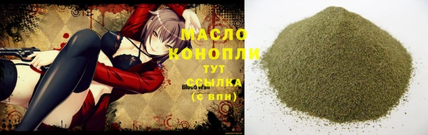 индика Верхний Тагил