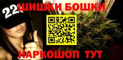мет Новозыбков