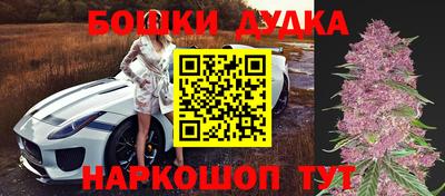 прущие грибы Новодвинск