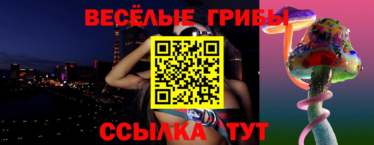 Псилоцибиновые грибы прущие грибы Тайшет